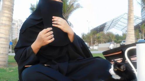 娱乐吃瓜君说的都是谁啊